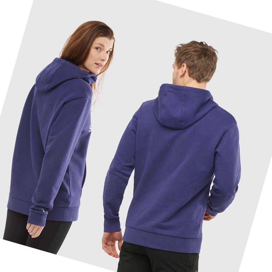 Sudadera Con Capucha Salomon OUTLIFE LOGO SUMMER Mujer Morados | MX 2538GSO